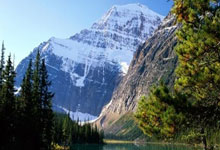 开云体育APP下载-包含保加利亚队夺得宝贵分，晋级前景看好的词条