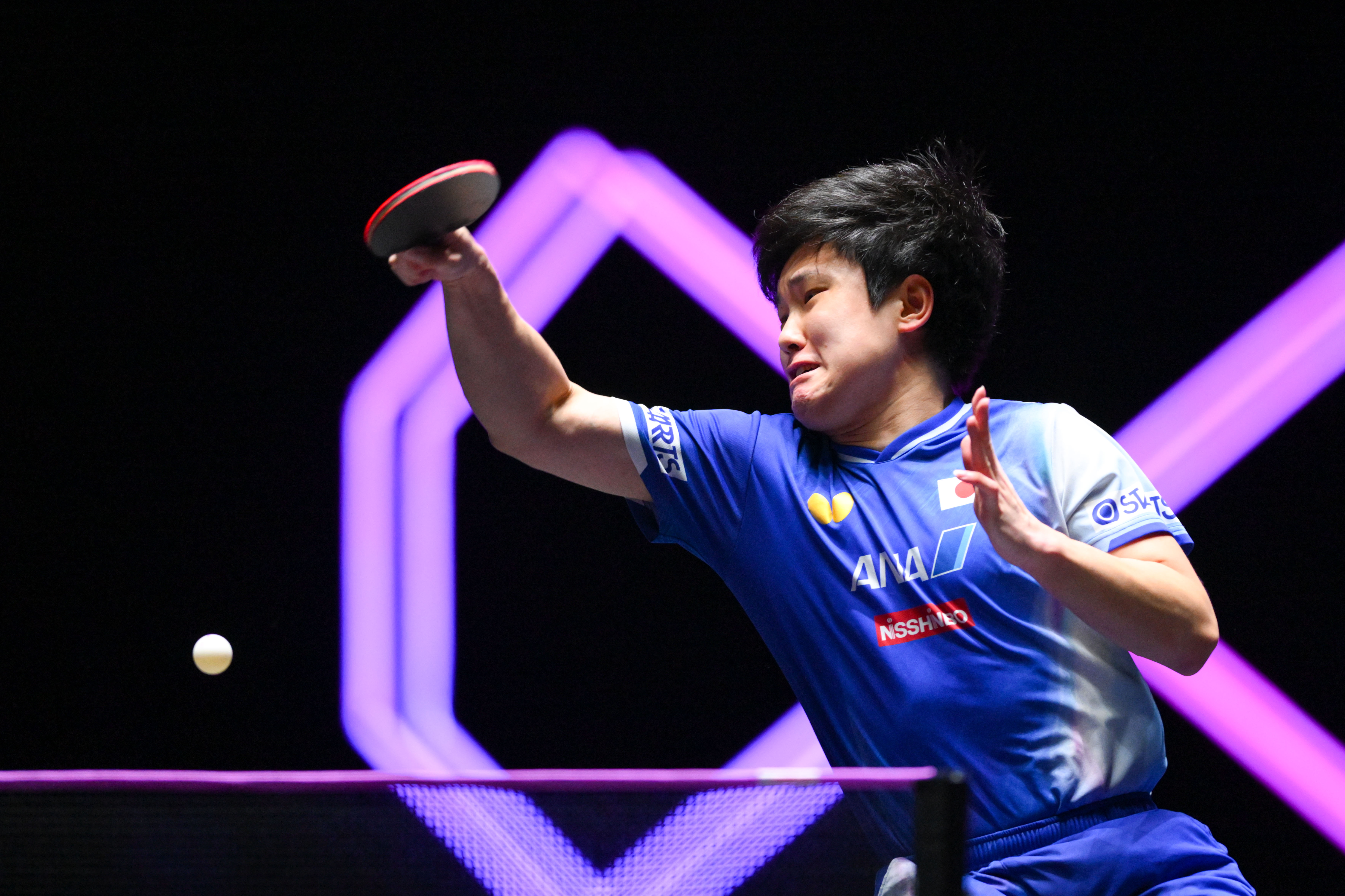 包含瑞典乒乓球队力克波兰乒乓球队，张本智和关键制胜的词条