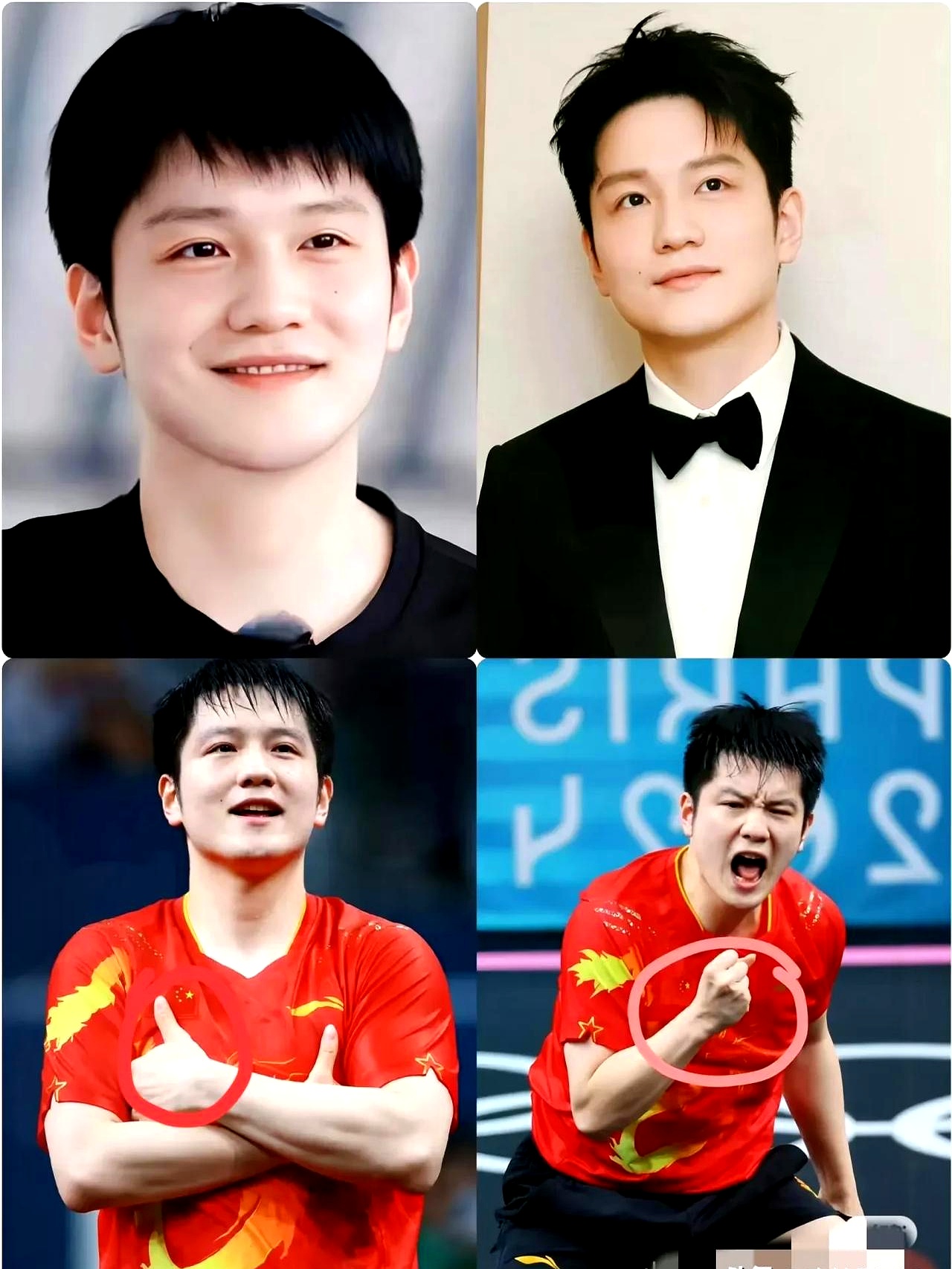 关于日本乒乓球队力克德国乒乓球队，樊振东三分雨点燃全场的信息