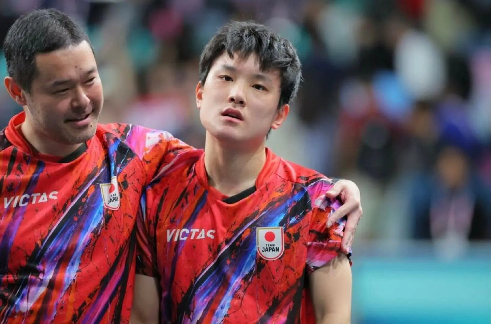 包含法国乒乓球队鏖战奥地利乒乓球队，张本智和绝境逆转的词条