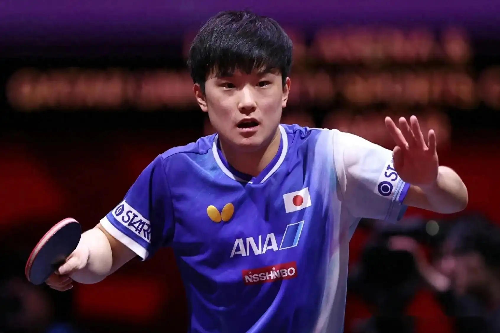 包含法国乒乓球队鏖战奥地利乒乓球队，张本智和绝境逆转的词条