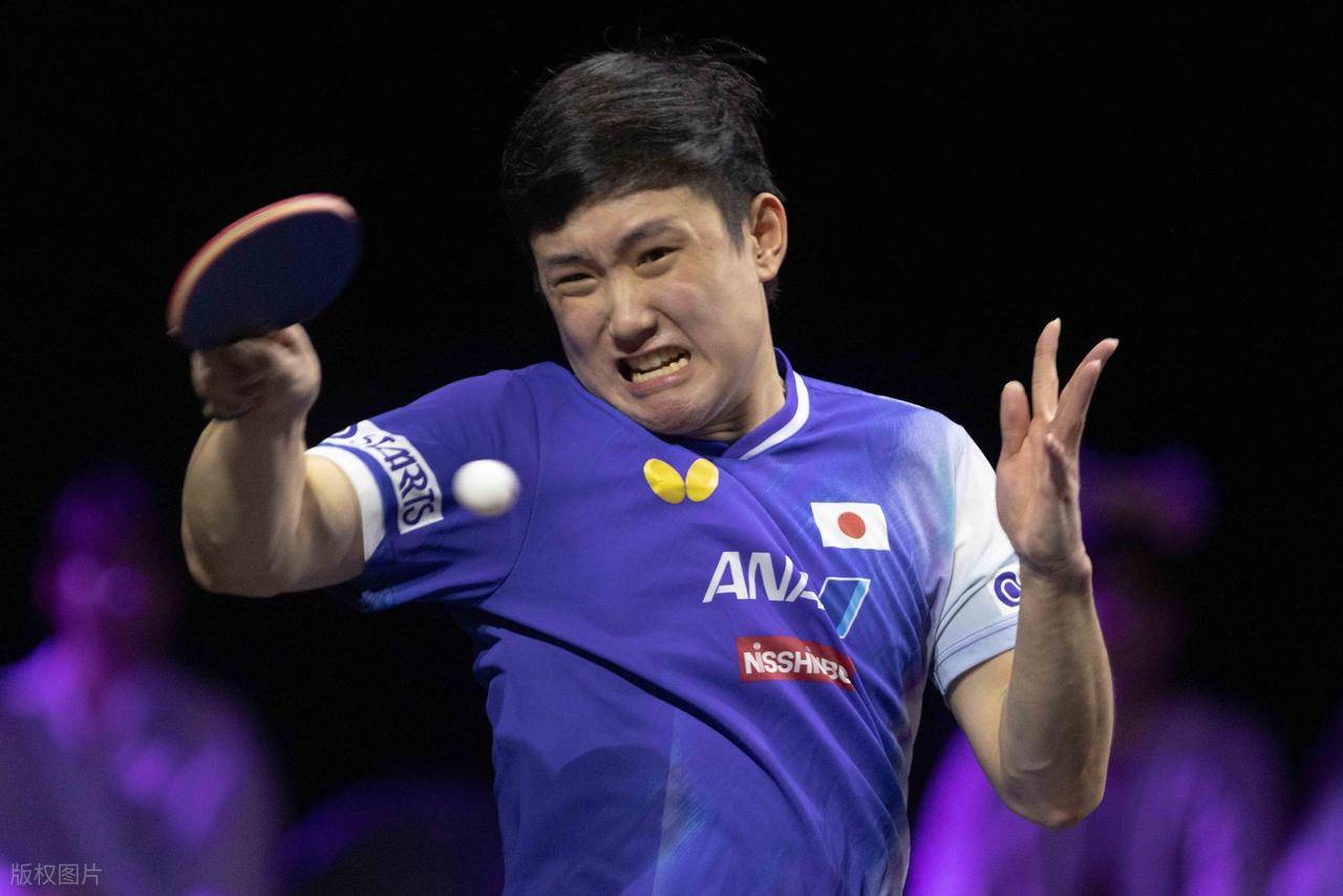 包含波兰队险胜法国队,张本智和点燃赛场的词条 包含波兰队险胜法国队,张本智和点燃赛场的词条