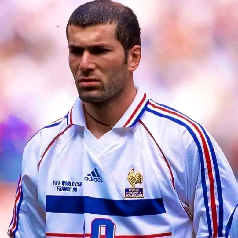 瑞典队绝杀法国队，奥恰洛夫惊艳四座的简单介绍