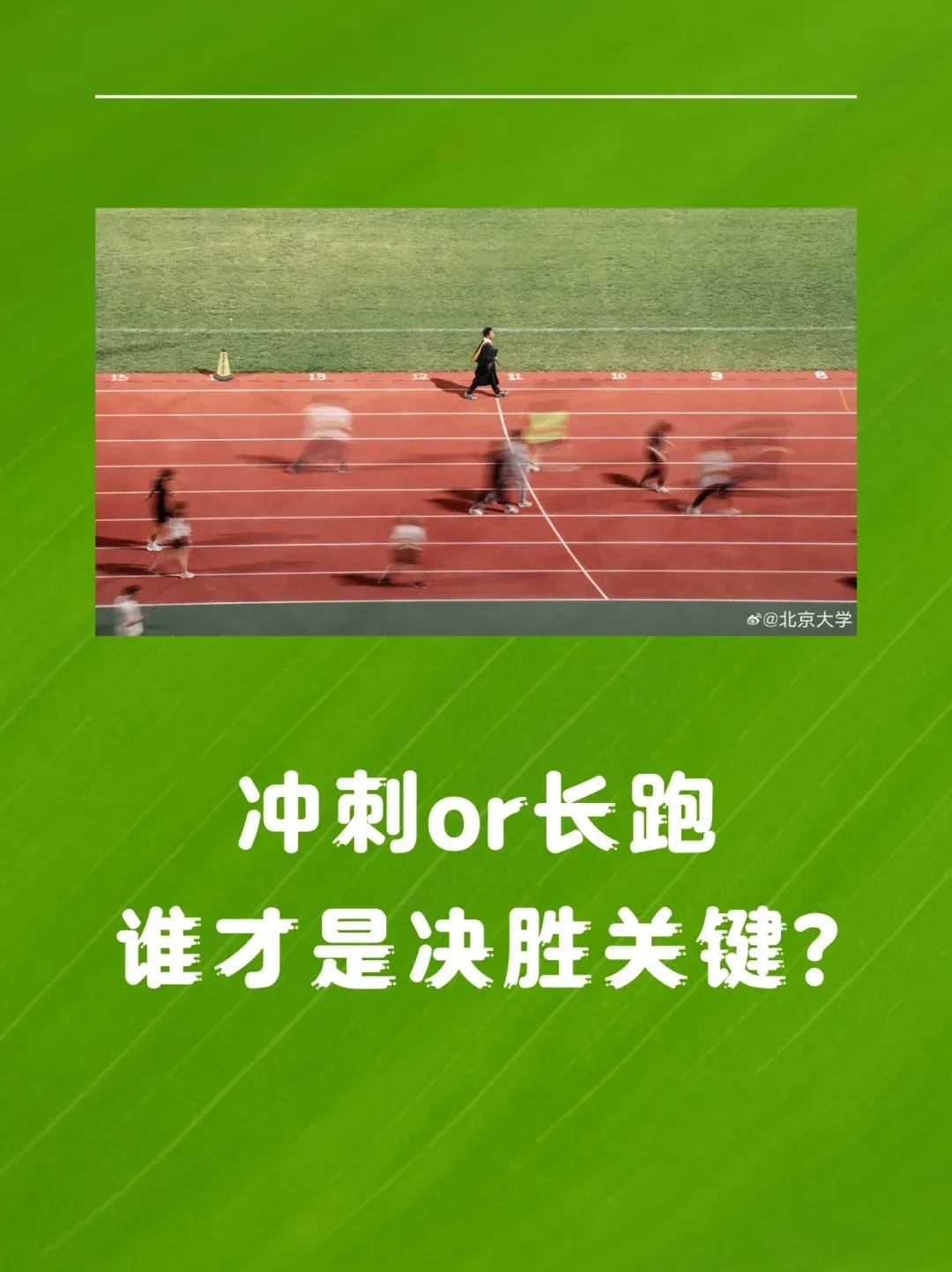 冲刺终点！选手们全力奔跑向胜利的简单介绍