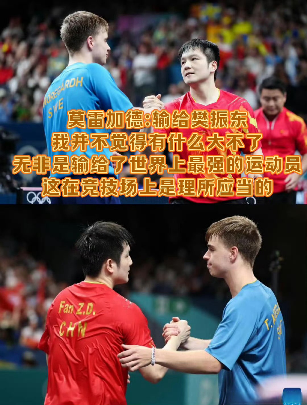 葡萄牙队绝杀韩国队，樊振东刷新纪录